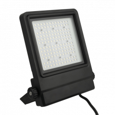 Cedda 100W LED Floodlight