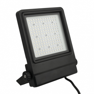 Cedda 100W LED Floodlight