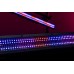 Spectra Strobe