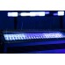 Spectra Strobe