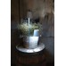 EventLITE Table-RGBW