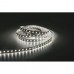 Havana Ribbon 5050 - 60 - RGBW