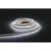 Santiago Ribbon 3528 - 120 - CCT