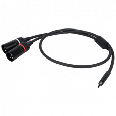 FL112 - USB-C to 2 XLR/M 3P