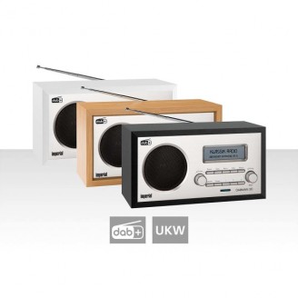 DABMAN 30 Zwart DAB+ / FM
