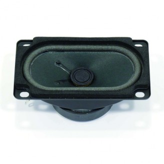 Magnetisch afgeschermde 5 x 9 cm (2" x 3,5") fullrange driver