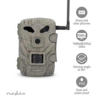Wildlife Camera | 4G | 1080p@30fps | 30.0 MPixel | 2 MPixel CMOS | IP66 | 4G | Black No-Glow IR | Night vision | Viewing angle: 50 Â° | Motion sensor | Detection angle: 50 Â° | Detection range: 20 m | LCD Screen | Green