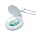 Bureaulamp met vergrootglas - 8 dioptrie - 22 W - wit