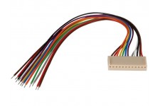 PRINTCONNECTOR - VROUWELIJK - 12 CONTACTEN / 20cm