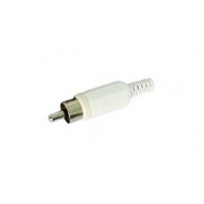 MANNELIJKE RCA PLUG - WIT