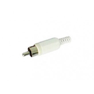 MANNELIJKE RCA PLUG - WIT