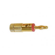 BANANAALSPANGERS 4mm GOUD - ROOD