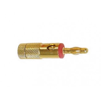 BANANAALSPANGERS 4mm GOUD - ROOD