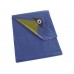 Dekzeil - Blauw/Groen - Standaard - 6 X 10 M