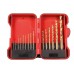 HSS-BORENSET - TITANIUM COATING - 15-delig