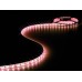 FLEXIBELE LEDSTRIP - RGB - 300 LEDs - 5 m - 12 V