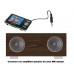 2x5W versterker voor mp3-speler