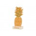 Ananas XL Soldeerset - promoset - VS-versie