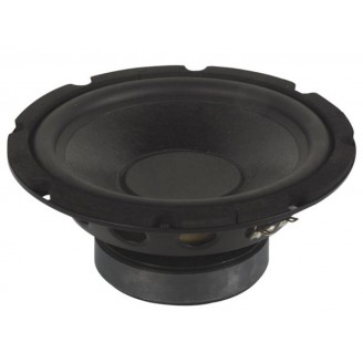 ZWARTE SUBWOOFER VOOR LUIDSPREKER 10" / 350W