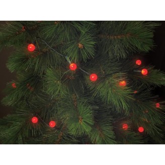 Cherry Light LED - 12 m - 120 rode lampjes - groene draad - 24 V