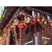 RANA LED  - 2 x 1.3 m - 150 leds - warmwit - transparante kabel - 24 V