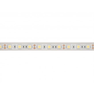 FLEXIBELE LEDSTRIP - WIT 6500K - 60 LEDs/m - 5 m - 12 V - IP68 - CRI90