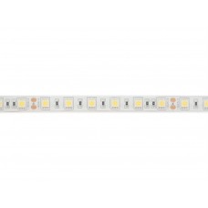 FLEXIBELE LEDSTRIP - WIT 6500K - 60 LEDs/m - 5 m - 24 V - IP61 - CRI90