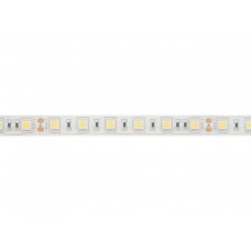 FLEXIBELE LEDSTRIP - WIT 6500K - 60 LEDs/m - 5 m - 24 V - IP61 - CRI90