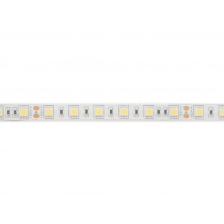 FLEXIBELE LEDSTRIP - WIT 6500K - 60 LEDs/m - 5 m - 24 V - IP61 - CRI90