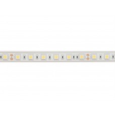 FLEXIBELE LEDSTRIP - WIT 6500K - 60 LEDs/m - 5 m - 24 V - IP68 - CRI90