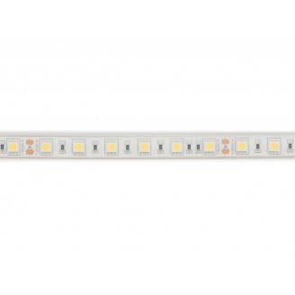 FLEXIBELE LEDSTRIP - WIT 6500K - 60 LEDs/m - 5 m - 24 V - IP68 - CRI90