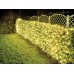 SPIKA LED - 2 x 2 m - 144 leds - warmwit - zwarte kabel - 36 V