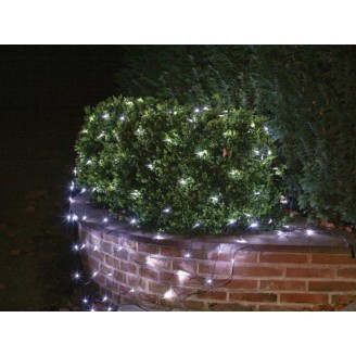 Netlight LED - 2 x 2 m - 144 witte lampen - zwarte draad - 36 V