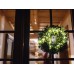 Novalight LED - 24 m - 160 warm witte lampen - groene draad