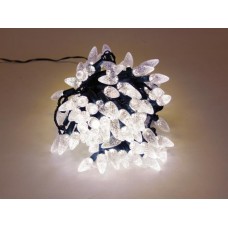 Strawberry Light LED - 12 m - 120 warm witte lampjes - groene draad - 24 V