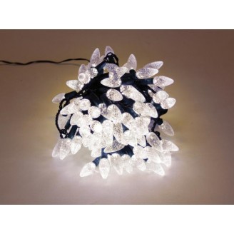 Strawberry Light LED - 12 m - 120 warm witte lampjes - groene draad - 24 V