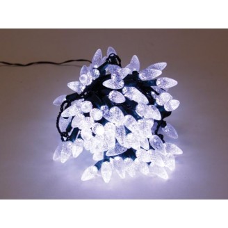 Strawberry Light LED - 12 m - 120 witte lampen - groene draad - 24 V