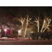 Straightlight LED - 34 m - 1500 arizona witte lampen - groene draad