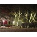Straightlight LED - 34 m - 1500 warm witte lampen - groene draad