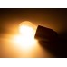 SET LED-GLOEILAMPEN - G45 - HELDER GLAS - 4 st. - ROOD - GROEN - BLAUW - ORANJE