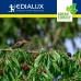 Sonic-Vogelafweer - groot
