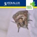 Green Choice - val voor gewone kleermotten, 2 stuks