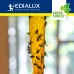 Green Choice - vliegenvangers, 4 stuks