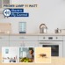 Lamp voor Prism  - 11W